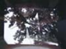 Nie-obecność w naturze [1]