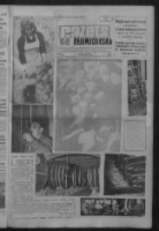 Gazeta Zielonogórska : organ KW Polskiej Zjednoczonej Partii Robotniczej R. IX Nr 234 (1/2 października 1960). - [Wyd. A]