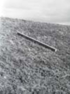 [Fotografia konceptualna 1]