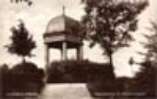 Gorzów Wlkp. / Landsberg a. Warthe; Aussichtsturm im Schönfliesspark