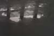 The Secret Performance