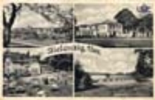 Sulęcin / Zielenzig Nm.