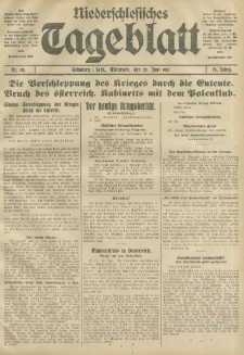 Niederschlesisches Tageblatt, no 141 (Mittwoch, den 20. Juni 1917)