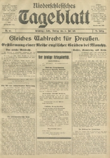 Niederschlesisches Tageblatt, no 161 (Freitag, den 13. Juli 1917)