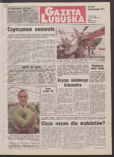Gazeta Lubuska R. XLVI, nr 252 (28 października 1997). - Wyd. 1