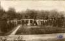 Zasieki / Forst (Lausitz); Wehrinsel, Partie im Rosenpark