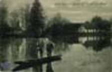 Żary / Sorau; Blick nach der Bleiche am Sorauer Stadtwald