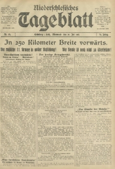 Niederschlesisches Tageblatt, no 171 (Mittwoch, den 25. Juli 1917)