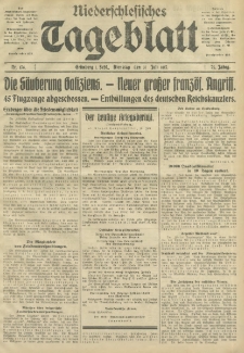 Niederschlesisches Tageblatt, no 176 (Dienstag, den 31. Juli 1917)