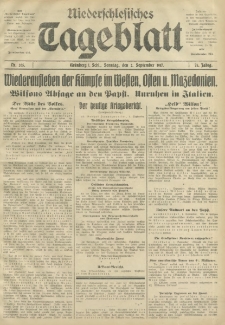 Niederschlesisches Tageblatt, no 205 (Sonntag, den 2. September 1917)