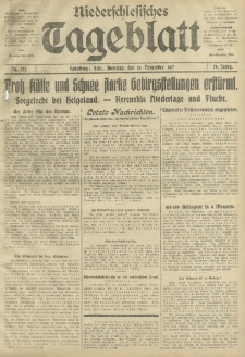 Niederschlesisches Tageblatt, no 272 (Dienstag, den 20. November 1917)