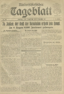 Niederschlesisches Tageblatt, no 299 (Sonnabend, den 22. Dezember 1917)
