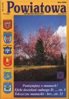Powiatowa: miesięcznik niezależny, nr 5 (62) (maj 2004)