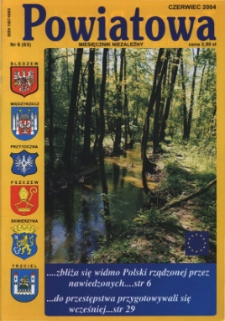 Powiatowa: miesięcznik niezależny, nr 6 (63) (czerwiec 2004)