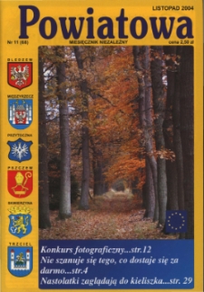 Powiatowa: miesięcznik niezależny, nr 11 (68) (listopad 2004)
