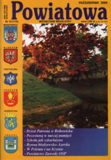 Powiatowa: miesięcznik niezależny, nr 10 (115) (październik 2008)