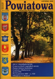 Powiatowa: miesięcznik niezależny, nr 11 (116) (listopad 2008)