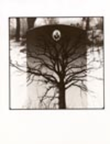 Bez tytułu [Wizerunki 2]