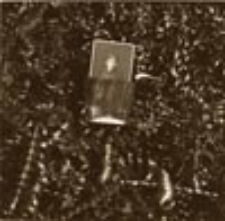 Bez tytułu [Puszka Pandory 2]