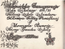 Kronika Szkoły Podstawowej w Brójcach - rok szkolny 1994/1995