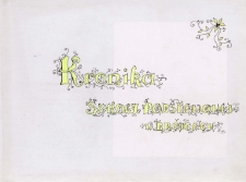 Kronika Szkoły Podstawowej w Brójcach - rok szkolny 2003/2004