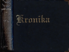 Kronika Szkoły Podstawowej w Br&oacute;jcach - rok szkolny 2010/2011