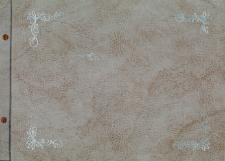 Kronika Przedszkola w Br&oacute;jcach - rok szkolny 2000/2001