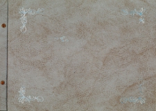 Kronika Przedszkola w Br&oacute;jcach - rok szkolny 2001/2002