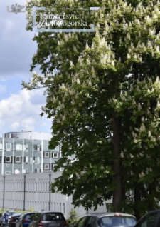 Uniwersytet Zielonogórski, 2021, nr 4/5 (kwiecień-maj)