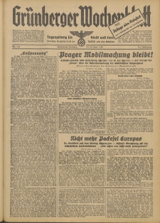 Grünberger Wochenblatt: Tageszeitung für Stadt und Land, No. 140. (18./19. Juni 1938)