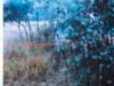 Wpisuję swoje uporządkowanie świata (2)