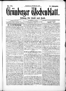 Grünberger Wochenblatt: Zeitung für Stadt und Land, No. 141. (23. November 1907)