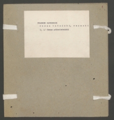 Archiwum prof. J&oacute;zefa Kostrzewskiego. Teka 6, Pomorze Zachodnie