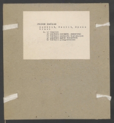 Archiwum prof. Józefa Kostrzewskiego. Teka 8, Pomorze Gdańskie