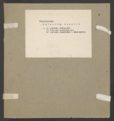 Archiwum prof. Józefa Kostrzewskiego. Teka 17, Wielkopolska