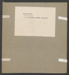 Archiwum prof. J&oacute;zefa Kostrzewskiego. Teka 18, Wielkopolska