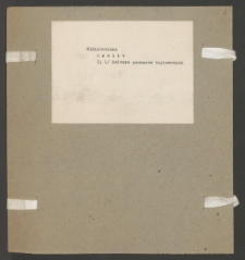 Archiwum prof. J&oacute;zefa Kostrzewskiego. Teka 19, Wielkopolska