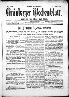 Grünberger Wochenblatt: Zeitung für Stadt und Land, No. 193. ( 19. August 1915 )