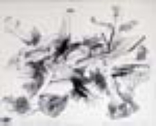 Tratwa niemożności