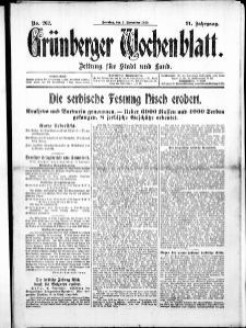 Grünberger Wochenblatt: Zeitung für Stadt und Land, No. 262. ( 7. November 1915 )