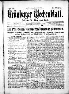 Grünberger Wochenblatt: Zeitung für Stadt und Land, No. 258. ( 3. November 1915 )