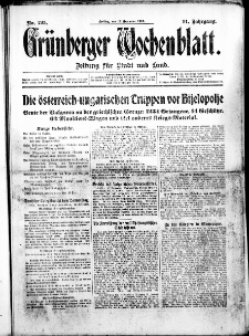 Grünberger Wochenblatt: Zeitung für Stadt und Land, No. 295. ( 17. Dezember 1915 )