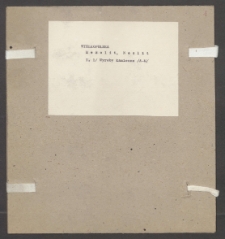 Archiwum prof. J&oacute;zefa Kostrzewskiego. Teka 21, Wielkopolska