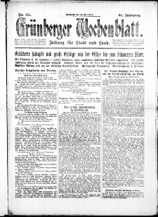Grünberger Wochenblatt: Zeitung für Stadt und Land, No. 171. ( 25. Juli 1917 )