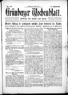 Grünberger Wochenblatt: Zeitung für Stadt und Land, No. 175. ( 29. Juli 1917 )