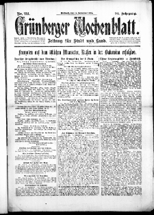 Grünberger Wochenblatt: Zeitung für Stadt und Land, No. 213. ( 12. September 1917 )