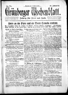 Grünberger Wochenblatt: Zeitung für Stadt und Land, No. 272. ( 20. November 1917 )