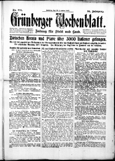 Grünberger Wochenblatt: Zeitung für Stadt und Land, No. 294. ( 16. Dezember 1917 )