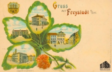 Kożuchów / Freystadt; Gruss aus Freystadt n/Schl