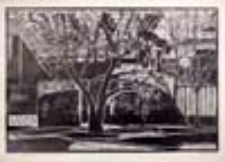 Zielona G&oacute;ra (linoryt)